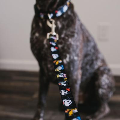 Show full view: Buckle-Down Disney the Sensational Six Smiling Faces Polyester Standard Dog Leash, Small: 4-ft long, 1-in wide slide 4 of 5