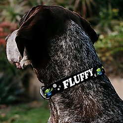Buckle-Down Disney Toy Story 3 Aliens OOOOOHHH Personalized Dog Collar, Small slide 2 of 6