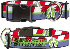 Buckle-Down Disney Toy Story Buzz Lightyear Space Ranger Logo Personalized Dog Collar, Large