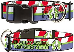 Buckle-Down Disney Toy Story Buzz Lightyear Space Ranger Logo Personalized Dog Collar, Small