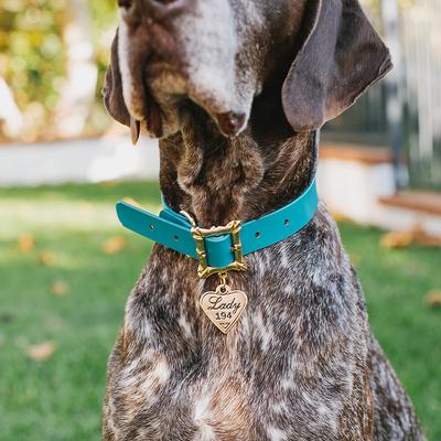 Show full view: Buckle-Down Disney Vegan Leather Lady & the Tramp Dog Collar, X-Large slide 6 of 10