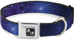 Buckle-Down Galaxy Dog Collar, Wide-Small