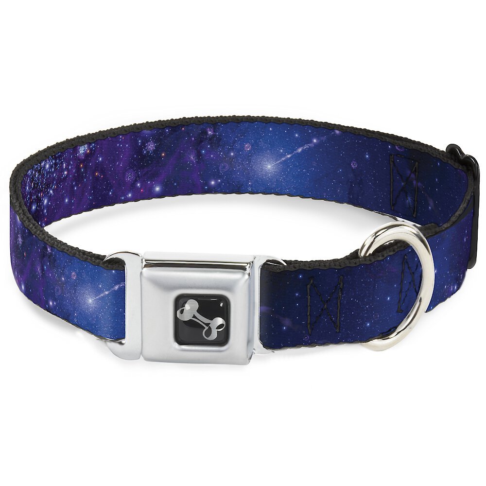 Buckle-down Galaxy Dog Collar, Wide-small
