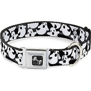 The Worthy Dog Summer Cheer Dog Collar