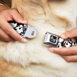 Buckle-Down Ghosts Scattered Seatbelt Buckle Dog Collar, Medium slide 2 of 9