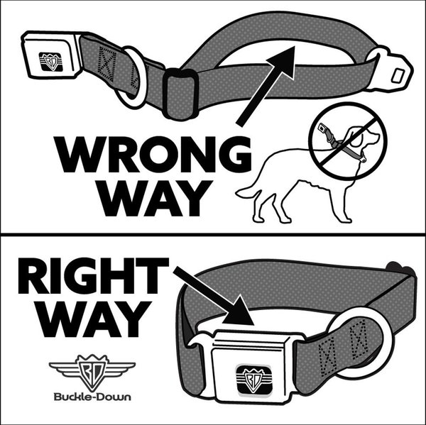 Buckle-Down Grateful Dead Dancing Bears Swirl Metal Seatbelt Polyster Dog Collar