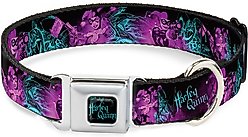 Buckle-Down Harley Quinn Dog Collar, Wide-Small