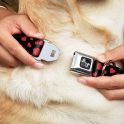 Buckle-Down Hearts Scattered Dog Collar, Wide-Large slide 2 of 9