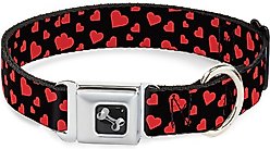 Buckle-Down Hearts Scattered Dog Collar, Wide-Small