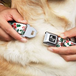 Buckle-Down Holly & Mistletoe Dog Collar, Wide-Medium slide 2 of 9