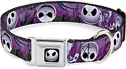 Buckle-Down Jack Expressions Ghosts in Cemetery Polyester Dog Collar, Large: 15 to 26-in neck, 1-in wide