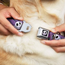 Buckle-Down Jack Expressions Ghosts in Cemetery Polyester Dog Collar, Large Wide: 18 to 32-in neck, 1.5-in wide slide 2 of 9