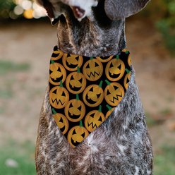 Buckle-Down Jack O Lantern Collage Slip-On Dog Bandana, Orange slide 2 of 7