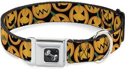 Buckle-Down Jack-o'-Lantern Seatbelt Buckle Dog Collar, Medium