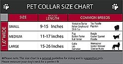 Buckle-Down Jack-o'-Lantern Dog Collar, Small slide 2 of 5