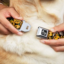 Buckle-Down Jack-o'-Lantern Dog Collar, Wide-Large slide 2 of 9