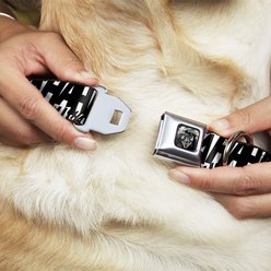 Buckle-Down Joker Holding Head Pose Polyester Dog Collar, Medium Wide: 16 to 23-in neck, 1.5-in wide slide 2 of 9