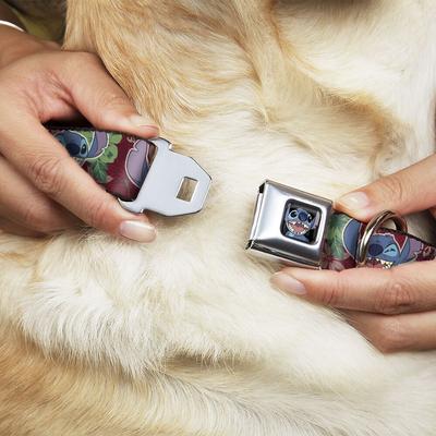 Show full view: Buckle-Down Lilo & Stitch 6-Expressions Tropical Flora Polyester Dog Collar, Large: 15 to 24-in neck, 1-in wide slide 2 of 10