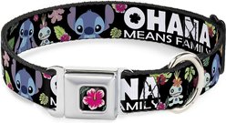 Buckle-Down Lilo & Stitch Hibiscus Flower Polyester Dog Collar, Large: 15 to 26-in neck, 1-in wide