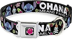 Buckle-Down Lilo & Stitch Hibiscus Flower Polyester Dog Collar, Small: 9 to 15-in neck, 1-in wide