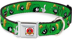 Buckle-Down Looney Tunes Dog Collar, Large