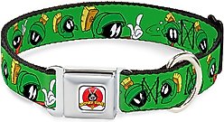 Buckle-Down Looney Tunes Dog Collar, Wide-Medium