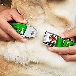 Buckle-Down Looney Tunes Dog Collar, Wide-Small slide 2 of 9
