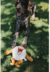 Buckle-Down Looney Tunes Taz Full Body Dog Plush Squeaker Toy  slide 2 of 6