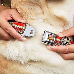 Buckle-Down Marvel Comic Thor & Hammer Dog Collar, Wide-Small slide 2 of 9