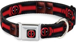Buckle-Down Marvel Deadpool Polyester Dog Collar, Large: 15 to 26-in neck, 1-in wide