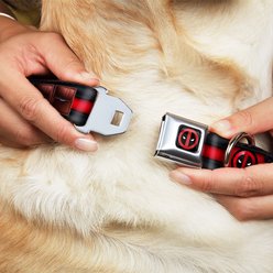 Buckle-Down Marvel Deadpool Polyester Dog Collar, Medium Wide: 16 to 23-in neck, 1.5-in wide slide 2 of 9