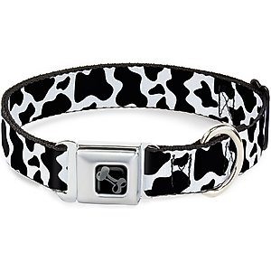 Buckle-Down Metal Seatbelt Buckle Cow Pattern Print Polyester Dog Collar, White/Black, Wide Medium: 16 to 23-in neck, 1.5-in wide