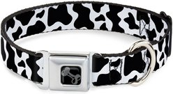 Buckle-Down Metal Seatbelt Buckle Cow Pattern Print Polyester Dog Collar, White/Black, Wide Small: 13 to 17-in neck, 1.5-in wide