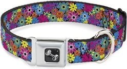 Buckle-Down Metal Seatbelt Buckle Flower Blossom Print Polyester Dog Collar, Medium: 11 to 16.5-in neck, 1-in wide