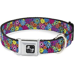Buckle-Down Metal Seatbelt Buckle Flower Blossom Print Polyester Dog Collar, Medium: 11 to 16.5-in neck, 1-in wide
