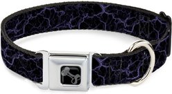Buckle-Down Metal Seatbelt Buckle Polyester Dog Collar, Marble Black/Purple, Wide Small: 13 to 17-in neck, 1.5-in wide