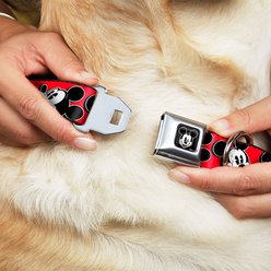 Buckle-Down Mickey Mouse Dog Collar, Wide-Small slide 2 of 9