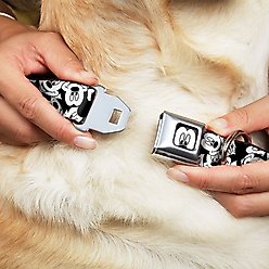 Buckle-Down Mickey Mouse Expressions Dog Collar, Wide-Small slide 2 of 9