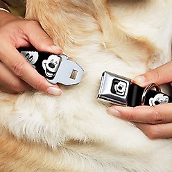 Buckle-Down Mickey Mouse Expressions Polyester Seatbelt Buckle Dog Collar, Large: 15 to 26-in neck, 1-in wide slide 2 of 8