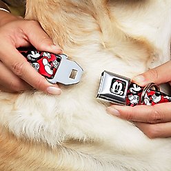 Buckle-Down Mickey Mouse Poses Dog Collar, Wide-Small slide 2 of 9