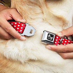Buckle-Down Mini Hearts Dog Collar, Wide-Small slide 2 of 9