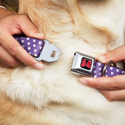 Buckle-Down Minnie Mouse Bow Polyester Dog Collar, Large: 15 to 26-in neck, 1-in wide slide 2 of 9
