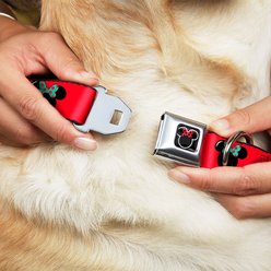 Buckle-Down Minnie Mouse Dog Collar, Small slide 2 of 9