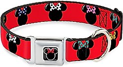 Buckle-Down Minnie Mouse Dog Collar, Wide-Large