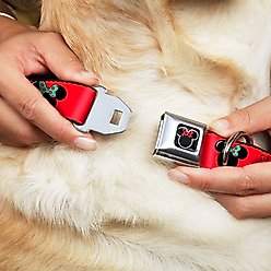 Buckle-Down Minnie Mouse Dog Collar, Wide-Medium slide 2 of 9