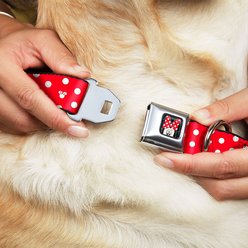 Buckle-Down Minnie Mouse Polka Dot Polyester Seatbelt Buckle Dog Collar, Large: 15 to 26-in neck, 1-in wide slide 2 of 8