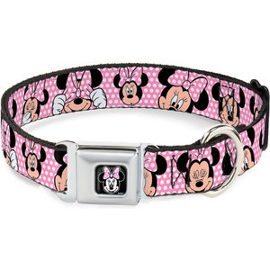 Buckle-Down Minnie Mouse Polyester Dog Collar, Medium: 11 to 17-in neck, 1-in wide