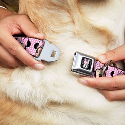 Buckle-Down Minnie Mouse Polyester Dog Collar, Medium: 11 to 17-in neck, 1-in wide slide 2 of 9