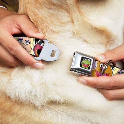Show full view: Buckle-Down Muppets Kermit Polyester Dog Collar, Large Wide: 18 to 32-in neck, 1.5-in wide slide 2 of 10