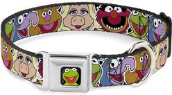 Buckle-Down Muppets Kermit Polyester Dog Collar, Medium Wide: 16 to 23-in neck, 1.5-in wide